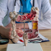 Colorectal cancer seems to be affecting young people more these days, then why no one seems to be paying attention