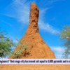 Termites turned engineers? Their mega-city has moved soil equal to 4,000 pyramids and is visible from space!