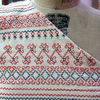 Kasuti embroidery