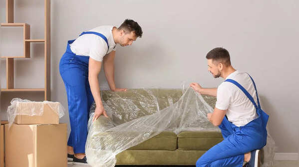 Cover furniture, glass, and surfaces