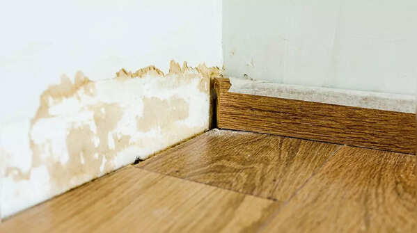 Moisture damage, musty odours, or crumbling concrete
