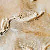 Bulging walls, bowing surfaces, or sagging ceilings