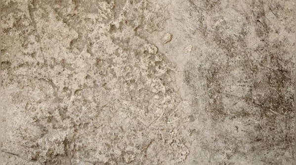 Uneven, sagging, or bouncy floors
