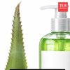 zimmerpflanzen aloe vera Aloe Vera Echte Aloe Zimmerpflanze 14cm 45cm kaufen
