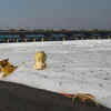 Article image for: Untreated <i class="tbold">waste</i> keeps flowing in