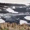 Article image for: Barrages that trap <i class="tbold">pollution</i>