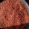 Article image for: Tandur Red Gram, <i class="tbold">Telangana</i>