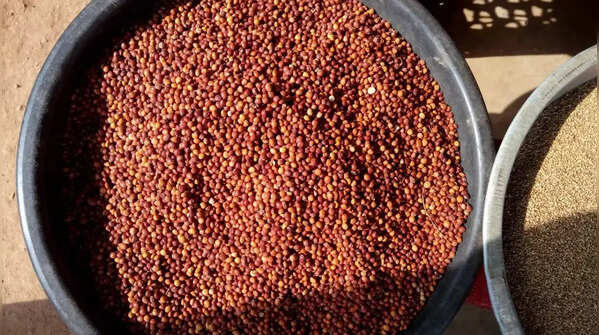 Tandur Red Gram, Telangana