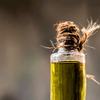 Article image for: <i class="tbold">amla</i> hair oil