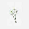 If you chose a bunch of white roses