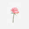 If you chose a pink rose