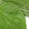 Paan leaves