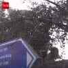 Article image for: Swati Maliwal Recalls Rescuing Trafficking Victims From GB Road