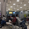 Passenger Traffic Shows Significant Growth