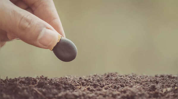 10 common plants that don’t need seeds to grow