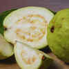 Buy the famous Sawai Madhopur guava