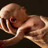 Article image for: Baby names inspired by Indian art and <i class="tbold">music</i>
