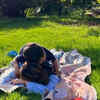 ​Lazy Summer Days