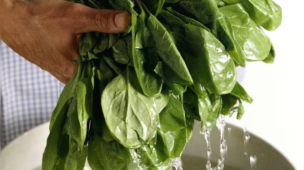 Spinach: Iron for the roots