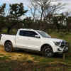 Pickup Truck