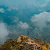 Article image for: Which place in India is called the ‘Land of Clouds’: A hidden world of misty hills and forests full of magic