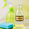 Tip 2: Water and Vinegar