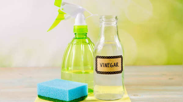 Tip 2: Water and Vinegar