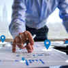 Project delays, location problems and external factors