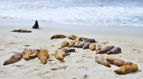 La Jolla Cove, San Diego, United States