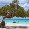 Eagle Beach, Aruba