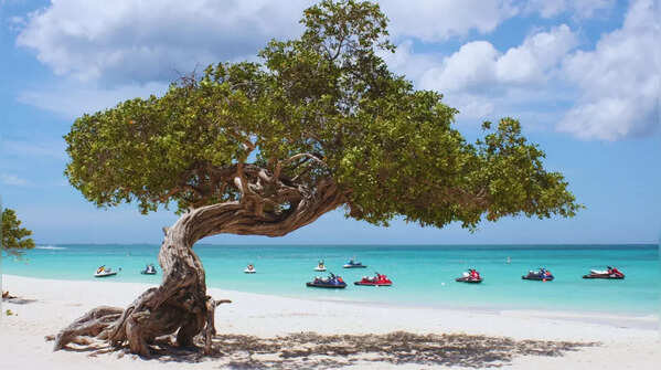 Eagle Beach, Aruba