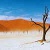 Namib-Naukluft National Park, Namibia