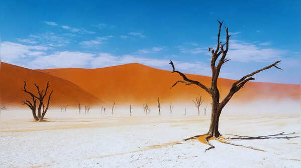 Namib-Naukluft National Park, Namibia