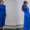 Article image for: The electric blue sheer gown