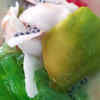 Es teler