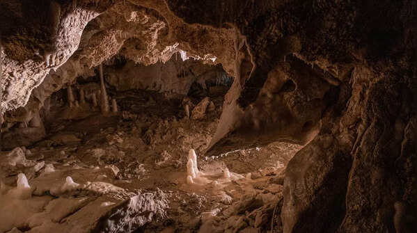6 animals that have mastered cave life and are rarely seen by humans