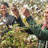 Article image for: Why trade deals can’t help India become a major apparel exporter