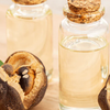 Camellia Oil (Tsubaki): The Biomimetic Hydrator