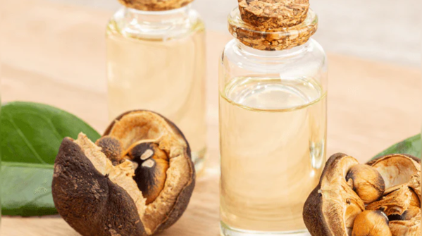 Camellia Oil (Tsubaki): The Biomimetic Hydrator