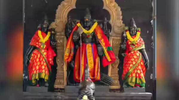 Skanda: To jump