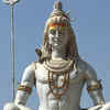 Which flower is not offered to Lord Shiva?
