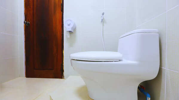 Failure to flush public toilets is punishable