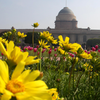 Article image for: Mughal Gardens to<i class="tbold"> amrit</i> Udyan