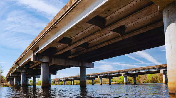 Manchac Swamp Bridge in the United States