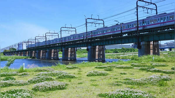 Changhua–Kaohsiung Viaduct in Taiwan: Reptesentative image