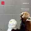 Article image for: Red Panda Vs Snowman: Winter Snack Attack Goes Viral