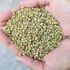 Benefits of tadka