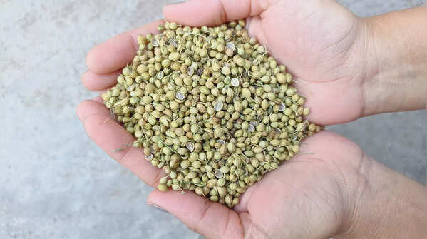 Benefits of tadka
