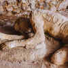 Article image for: Pompeii in <i class="tbold">italy</i>