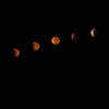 What exactly happens during a lunar eclipse?